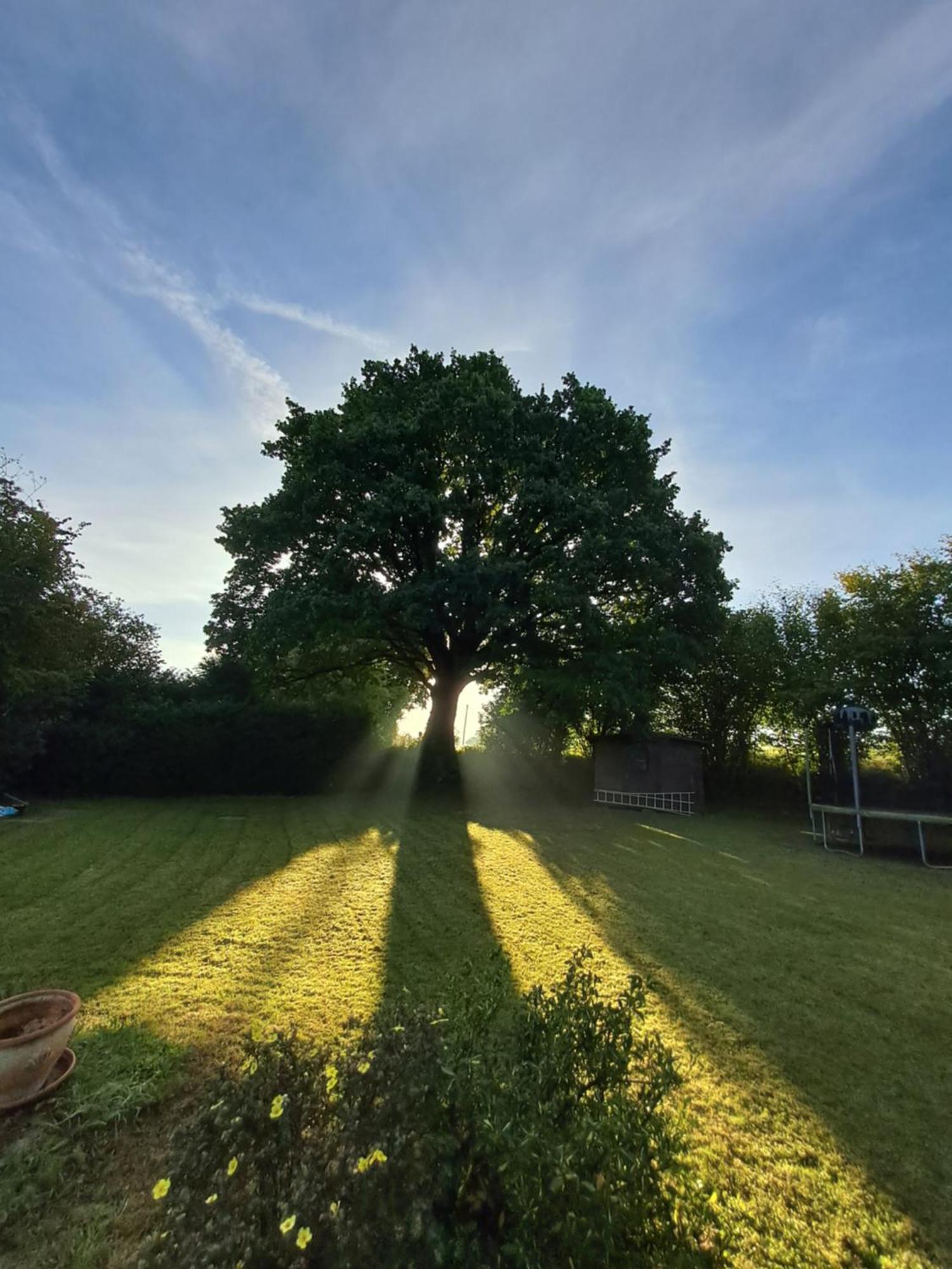 La Vauterie Villa Saint-Martin-de-Cenilly ภายนอก รูปภาพ